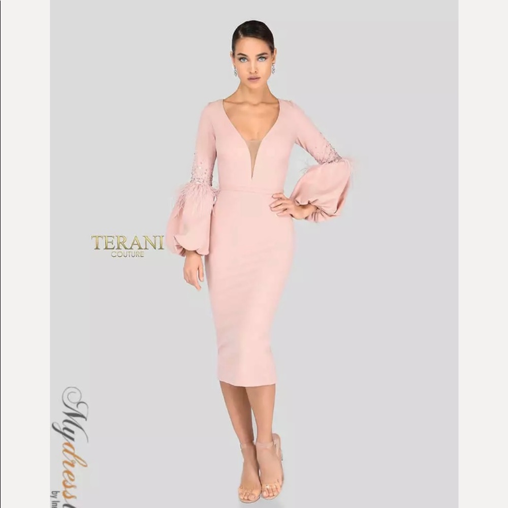 A beautiful Terani couture dress, almost new without tag. Tried , didn’t wear